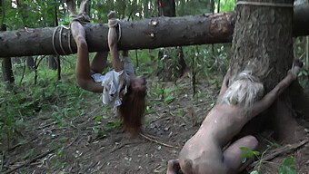 Rencontre Intense Et Taboue Dans La Forêt