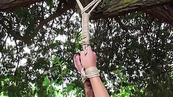 Bdsm Whipping Of A Woman Who Strips Outdoors