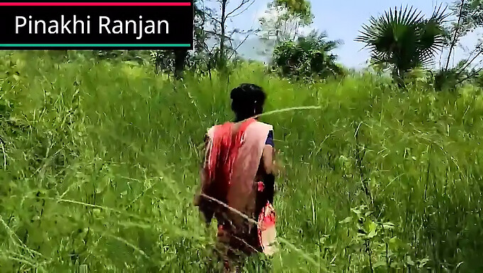 Tante En Plein Air Profite Par Derrière Avec Un Étalon Indien