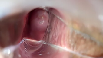 Teen (18+) Orgasm Inside Vagina: A Closer Look At The Cervix And Speculum