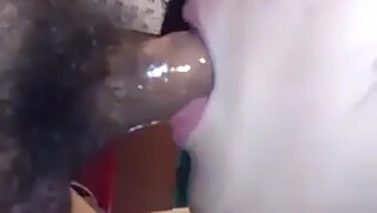 Amateur Asian Girl Takes Sloppy Blowjob And Swallows Cum